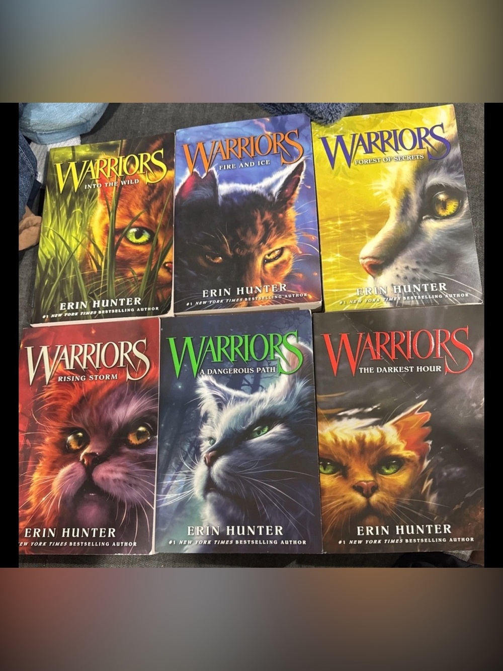 Lot Of 6 Erin Hunter Warriors The Prophecies Begin Books complete set